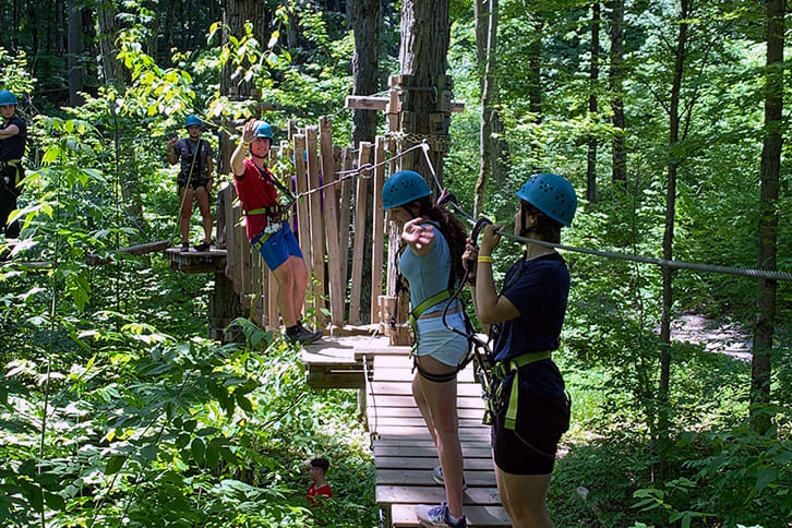 Picture of students traversing trees in a forest as part of an outdoor activity