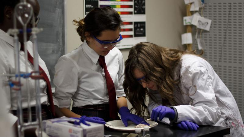 Picture of a group of students working in a science lab