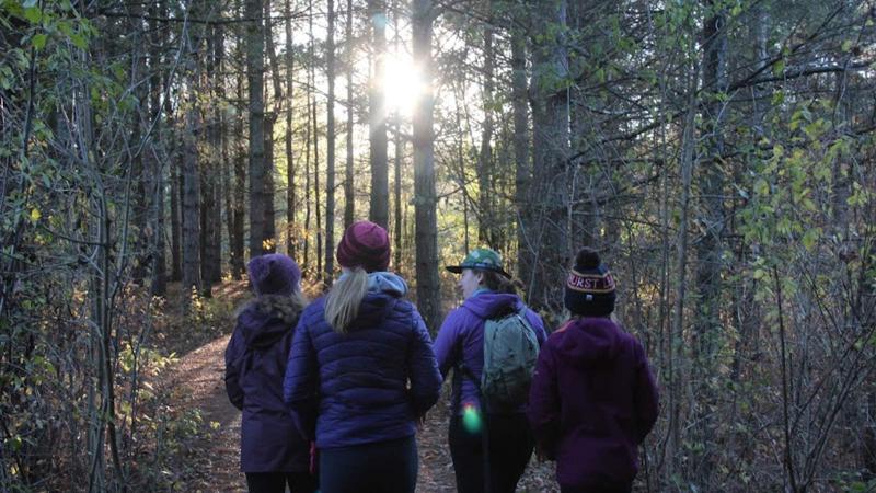 Picture of four students walking in the woods