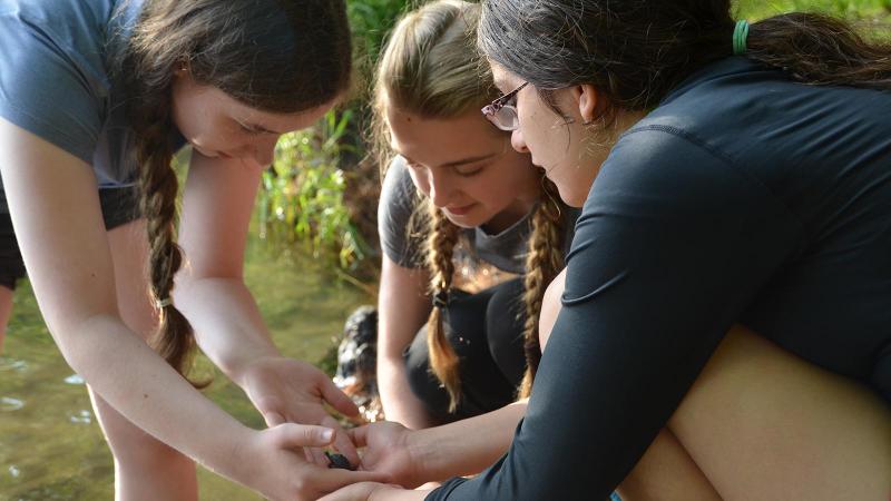Picture of three student holding a baby turtle