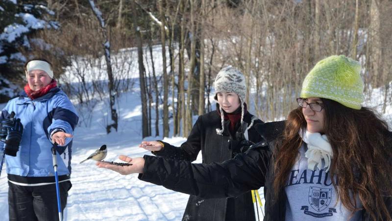 Picture of students cross country skiing