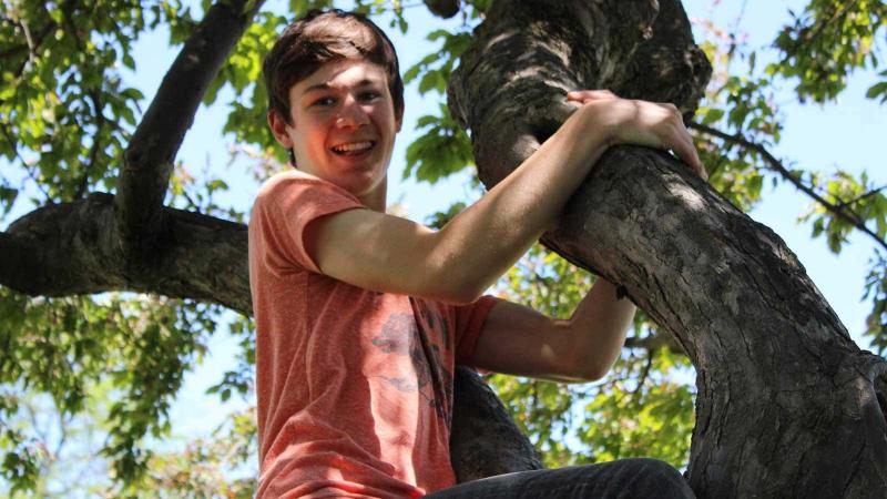 Picture of a student climbing a tree