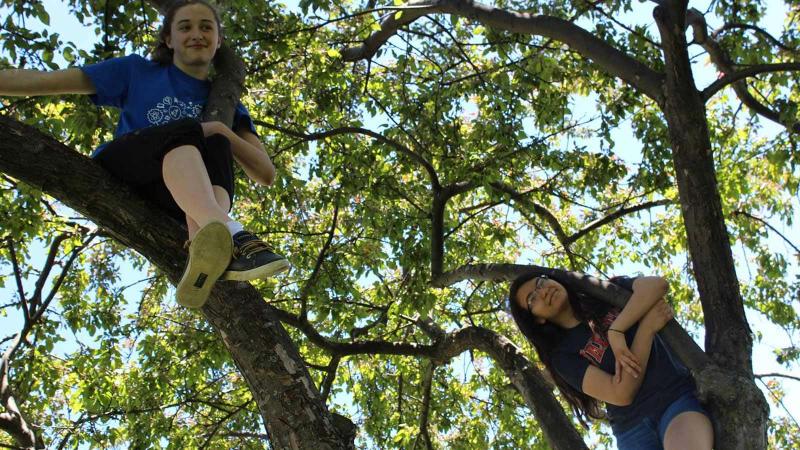Picture of students climbing a tree
